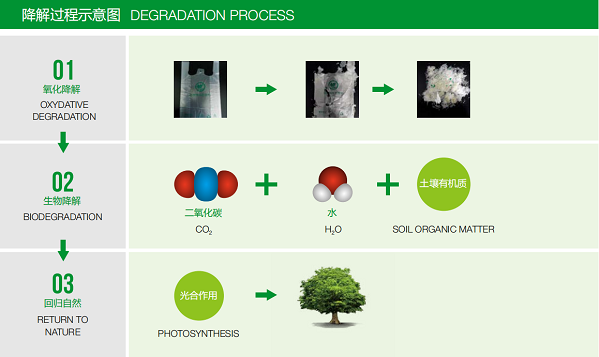 降解過程示意圖