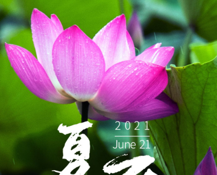 今日夏至|半夏木槿，萬(wàn)物勃發(fā)，長(zhǎng)日滿滿，青島中新華美遙祝夏安