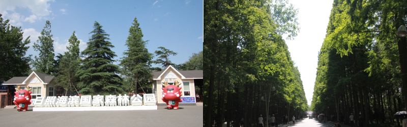 日照濱海國(guó)家森林公園